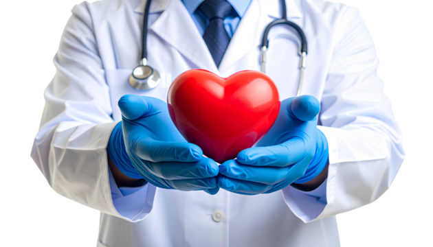 Doctor’s Hands Offering Red Heart Symbol, Isolated on Transparent Background PNG