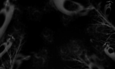 High-Resolution Seamless Texture Pack | 4K JPG Backgrounds for Design & 3D Projects