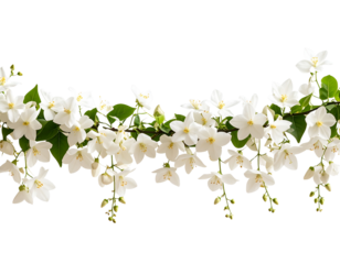  Elegant White Flower Vine Border for Decorative Card Design, isolated on transparent background PNG