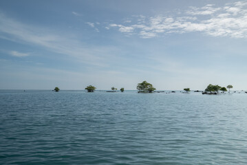 Beautiful tropical island in the Pacific Ocean with mangrove trees. A tropical island with calm waves and clear skies