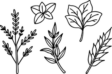 seamless pattern with leaves Minimal Herb Botanical Line Art Collection