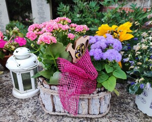 flowers in a basket