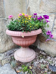 flowers in pots