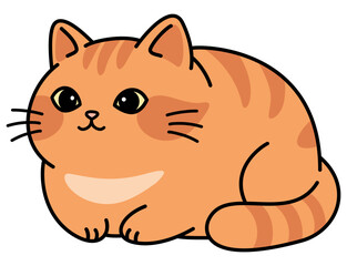 Cute fat orange cat. orange cat. Cat vector. Fat cat.