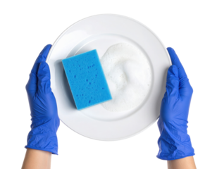 A pair of gloved hands holding a white plate with a blue sponge and soap suds on its surface.
