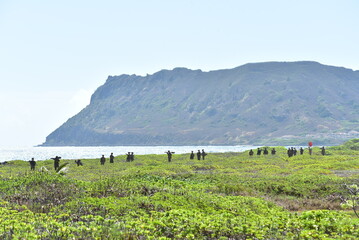 A group of people walking on a green field near the coast, with a large mountain in the background.