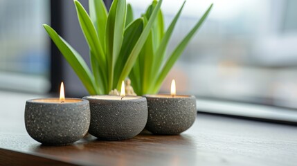 Three candles burn softly beside a green plant on a wooden surface, creating a serene and peaceful atmosphere