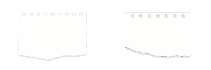 Blank torn sheets of paper arranged neatly on a white background, ideal for creative projects or note-taking tasks