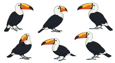 Cartoon pelicans in various poses with colorful beaks and feathers  