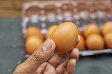 a hand of man hold egg with bokeh background