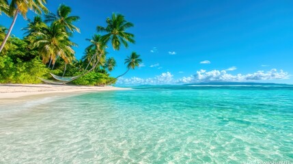 Tropical Paradise: Hammock, Palm Trees and Turquoise Water