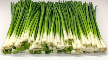 Fresh green scallions in a tightly packed bundle