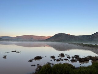 Obraz premium Aquila Safari