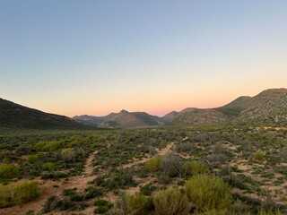 Obraz premium Aquila Safari