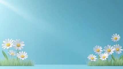 Serene Daisies under the Summer Sky