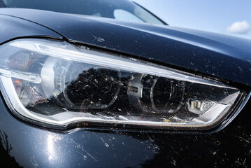 Killed insects on the bumper of the car, broken midges.