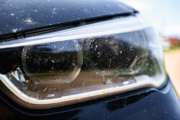 Killed insects on the bumper of the car, broken midges.