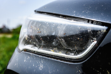 Killed insects on the bumper of the car, broken midges.