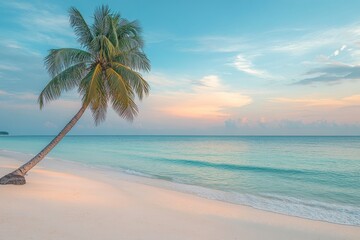 Tranquil Beach Scene with Palm Tree at Sunset Glow Over Water