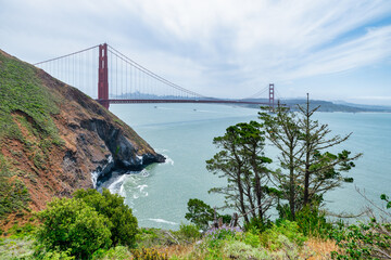 Golden Gate Bridge view framed by weathered tree in the Marin Headlands, San Francisco. Nature meets urban icon in dramatic coastal landscape on a clear sunny day