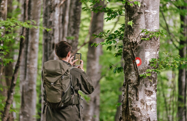 Man Using Map App on Phone in Forest