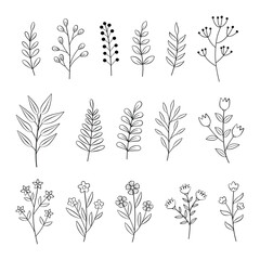 Hand drawn boho flowers bundle 