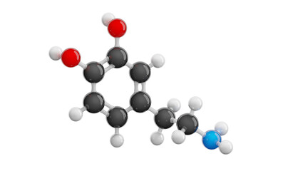 Happiness hormone - Dopamine isolated on transparent background. Molecular formula: C8H11NO2. Chemical model: Ball and Stick. 3D illustration