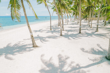 Bohol - Philippines