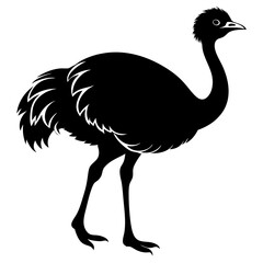 ostrich vector illustration silhouette on white background