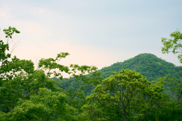 穏やかな空色と山の風景