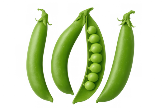 Sugar snap peas revealing green seeds within opened pod, transparent background highlighting nutritional value for plant-based diets