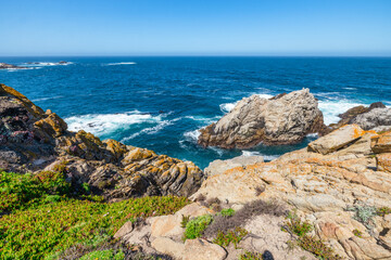 Point Lobos State Natural Reserve in California USA features turquoise waters, rugged cliffs, and vibrant coastal vegetation under a clear sky.