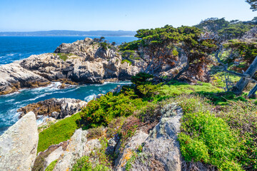 Fototapeta premium Point Lobos State Natural Reserve in California USA features turquoise waters, rugged cliffs, and vibrant coastal vegetation under a clear sky.
