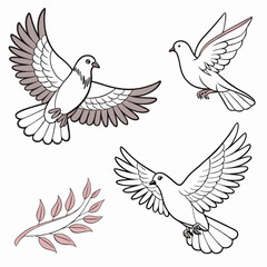 Fototapeta premium Flying dove of peace vector illustration with wings spread, a symbol of freedom and love
