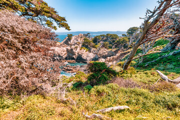 Point Lobos State Natural Reserve in California USA features turquoise waters, rugged cliffs, and vibrant coastal vegetation under a clear sky.