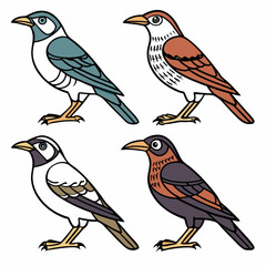 Obraz premium Colorful cartoon birds, including robins and sparrows, on a white background, perfect for nature and wildlife illustrations