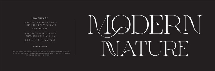Elegant alphabet letters font and number. Classic Lettering Minimal Fashion Designs. Typography modern serif fonts regular decorative vintage concept. vector illustration
