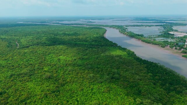 Best of Sundarbans: Drone Shot - Highest Quality Video top view.
