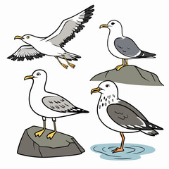 Obraz premium Cute cartoon bird and wild animal collection with flying robin, sparrow, duck, and owl