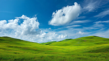Obraz premium Rolling green hills stretch under a vast blue sky dotted with fluffy white clouds, creating a serene and expansive natural landscape perfect for showcasing tranquility and outdoor beauty