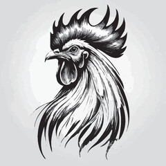 rooster vector illustration