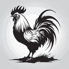 rooster vector illustration