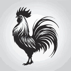 rooster vector illustration
