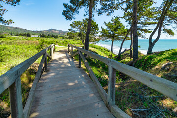 Wooden boardwalk leads through coastal greenery to the Pacific Ocean, offering scenic views near Highway 1 along California stunning Pacific Coast
