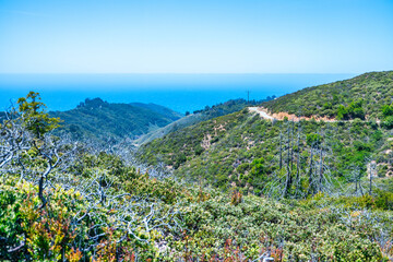 Scenic view of rolling green mountains and forested trails in Julia Pfeiffer Burns State Park,...