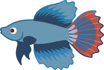 betta-fish-flaring-fins--side--front--top-view.eps