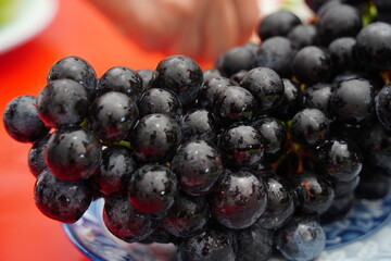 Glossy Black Grapes in Close-Up with Water Droplets