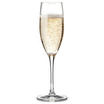 Elegant Champagne Glass Filled with Sparkling Wine on White Background &ndash; Clear Stemware with Bubbly Drink for Celebrations and Luxury Events