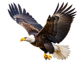 Obraz premium Majestic Bald Eagle Soaring with Wings Fully Spread, isolated on transparent background PNG