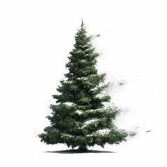 Snow-Covered Evergreen Tree Isolated on Transparent Transparent background